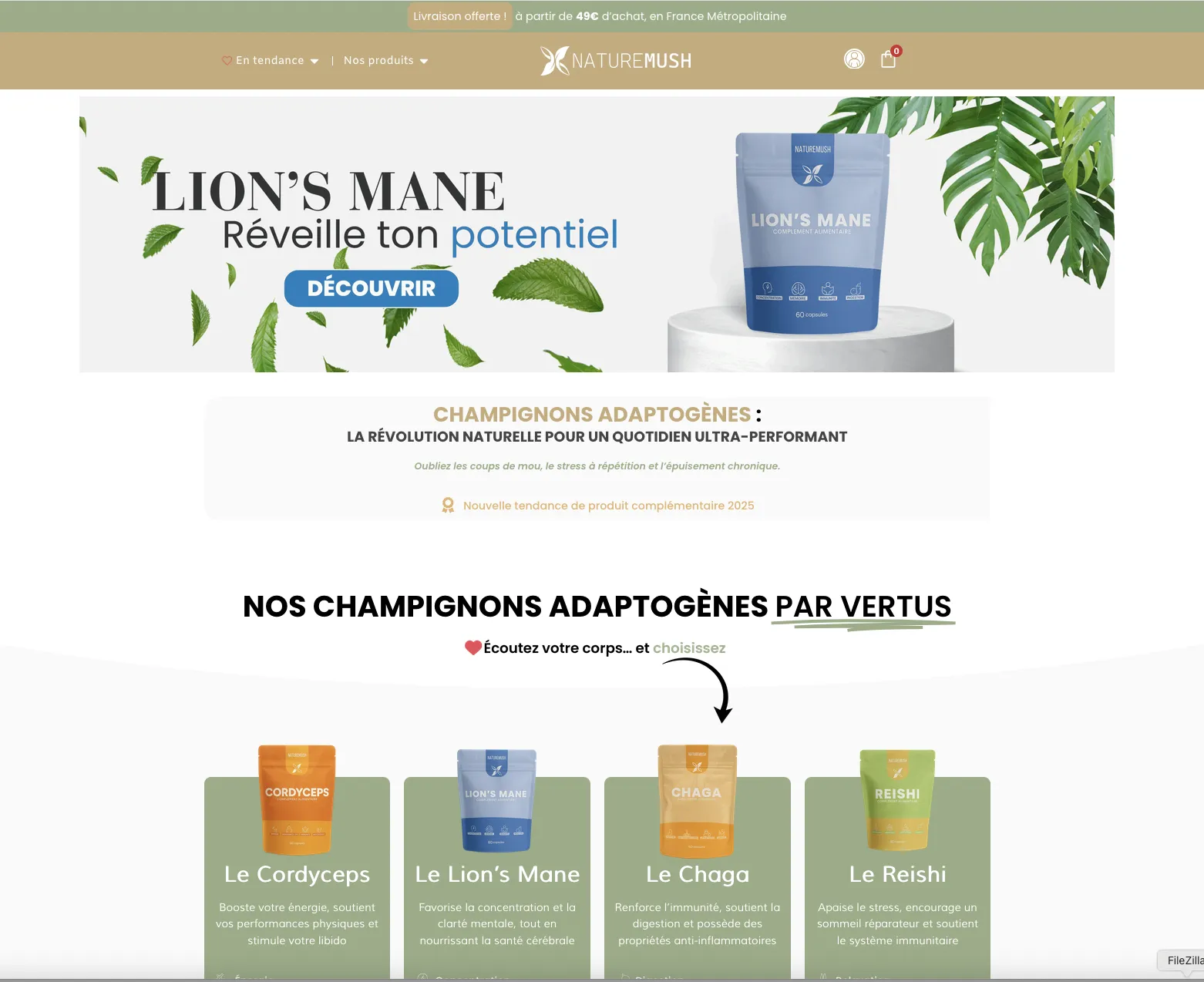 Création  site E-commerce